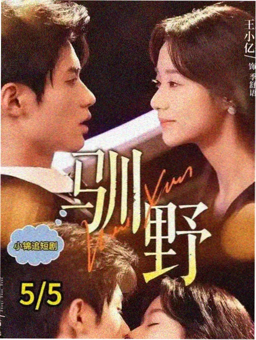 剧集第七个信号塔海报档案